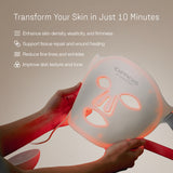 Deesse Pro Express LED Mask