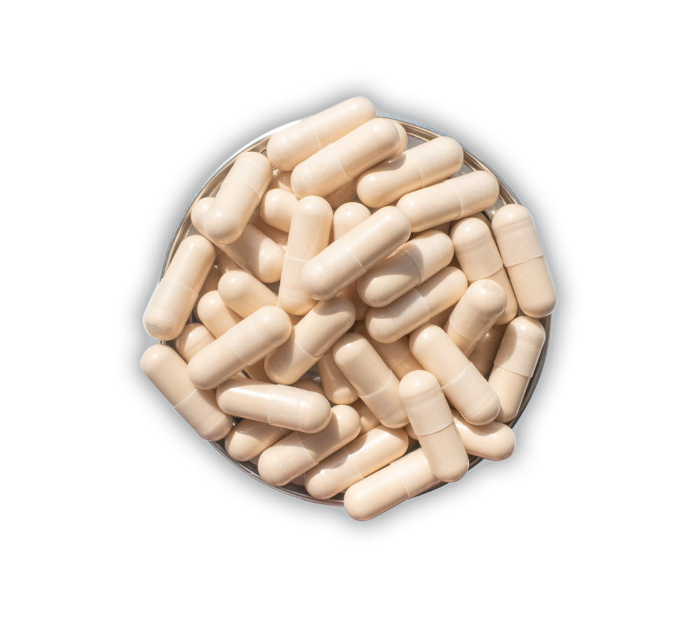 Advanced Nutrition Programme Skin Accumax