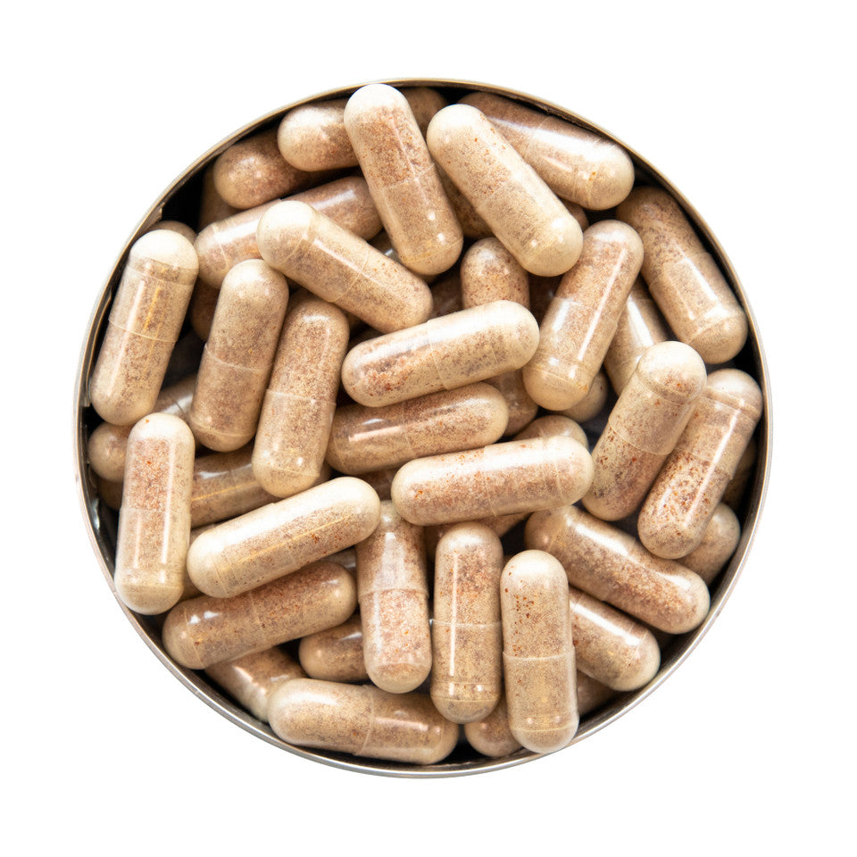 Advanced Nutrition Programme Supersize Skin Collagen Support 120 Caps