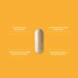 Advanced Nutrition Programme Skin Vit C