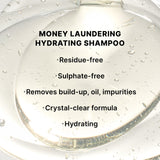 Color Wow Money Laundering Travel Duo