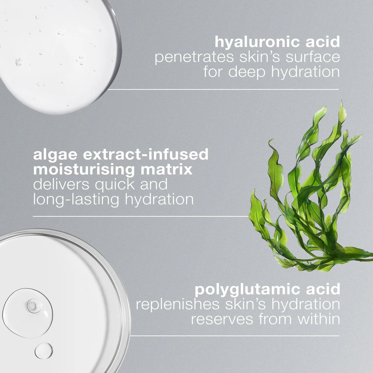 Dermalogica Circular Hydration Serum, key ingredients