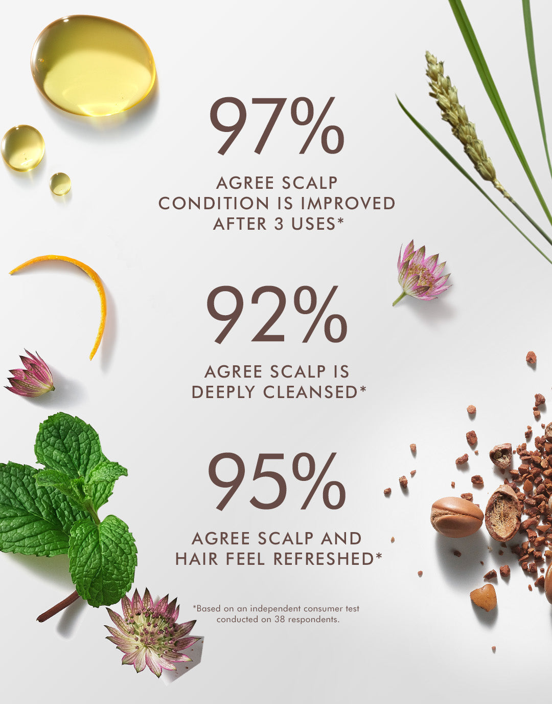 Moroccanoil Purifying Scrub