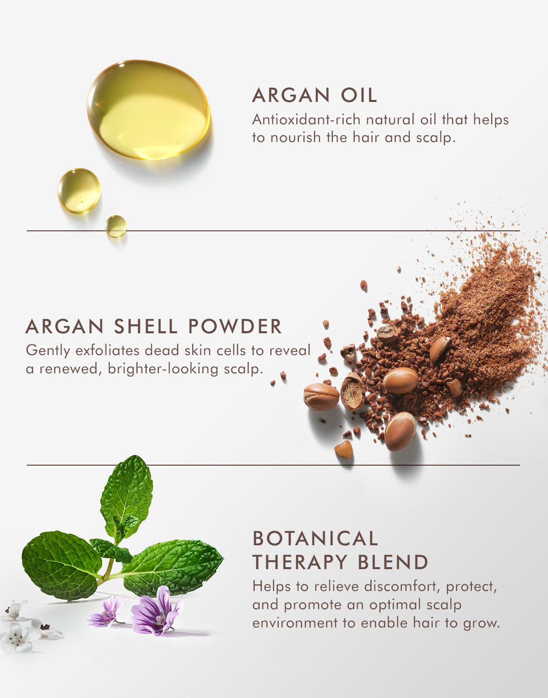 Moroccanoil Purifying Scrub