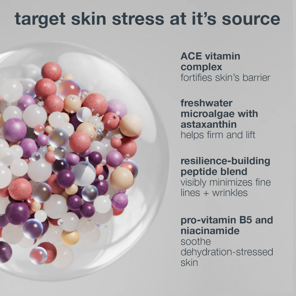 Dermalogica Multivitamin Power Recovery Cream 50ml, key ingredients