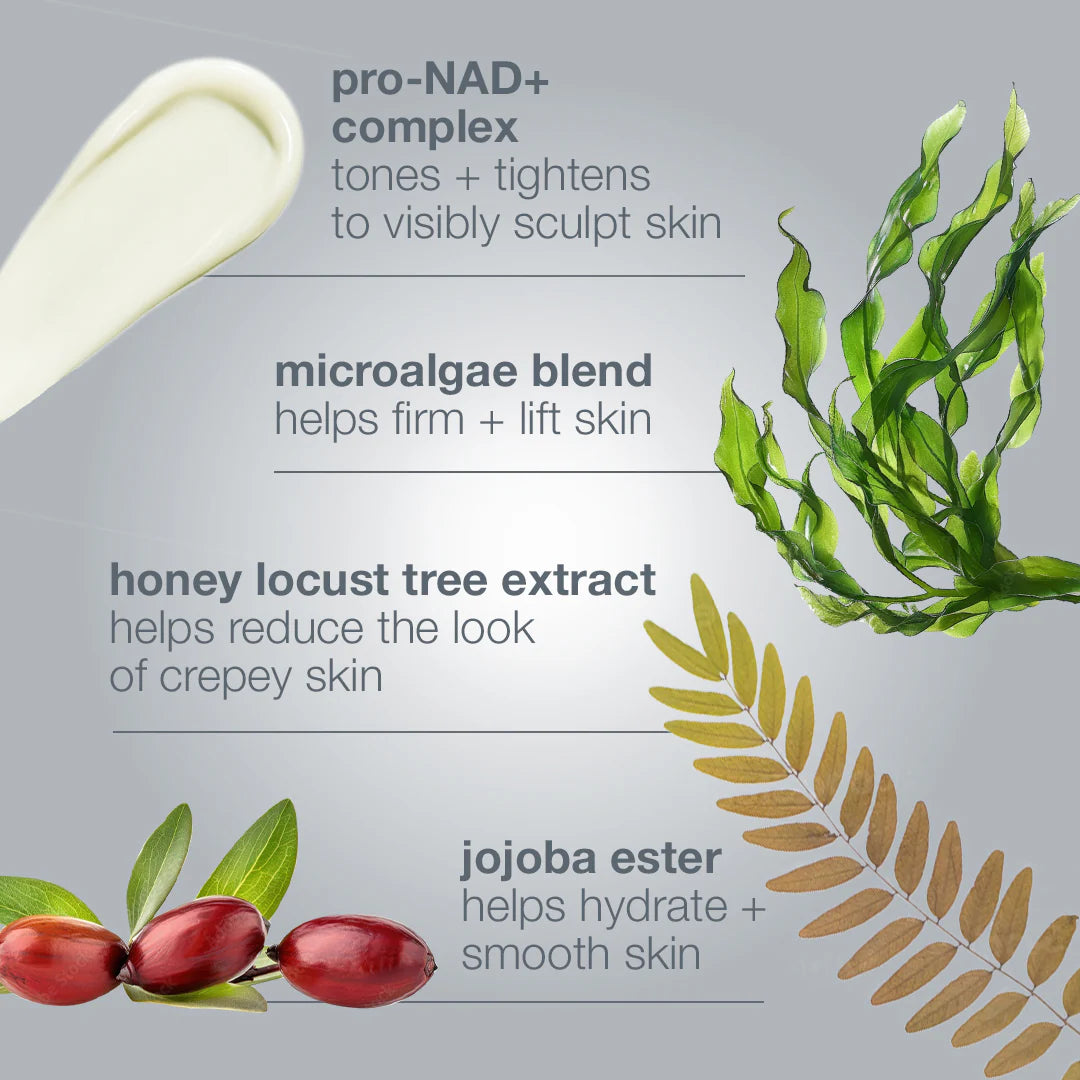 Dermalogica Dynamic Skin Sculptor, key ingredients