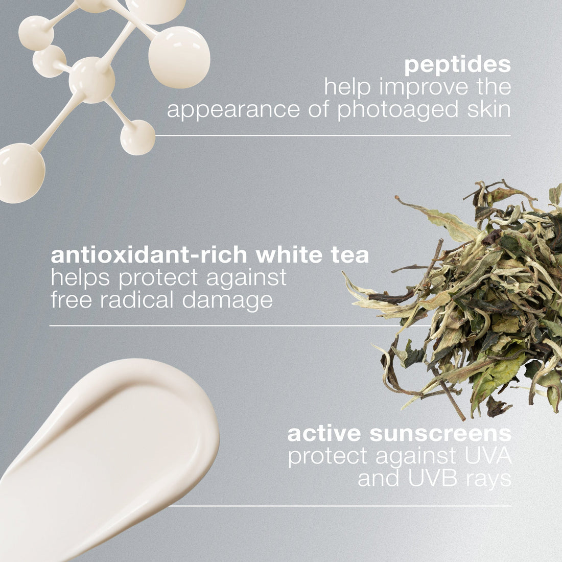 Dermalogica Smooth + Protect Duo