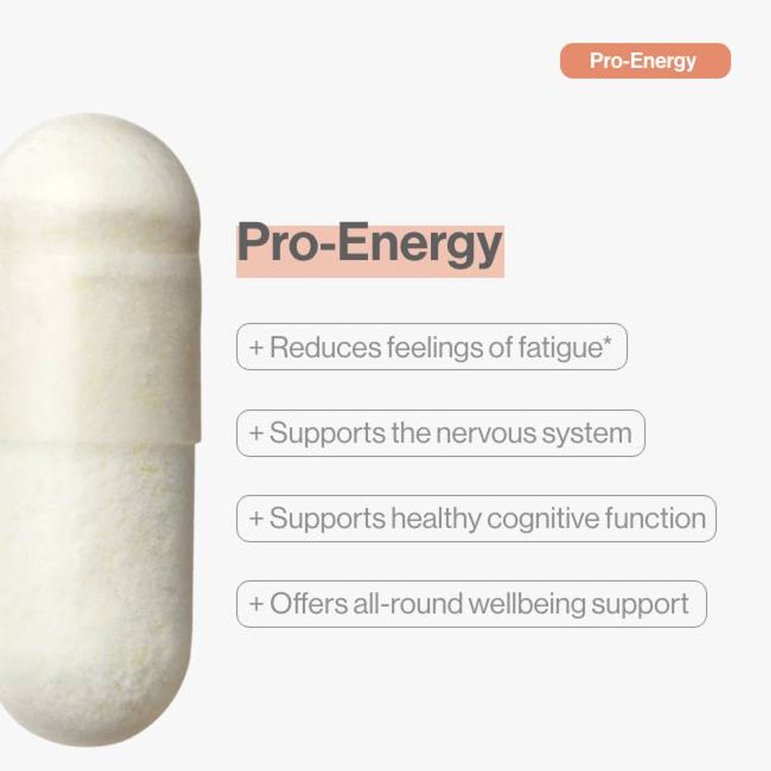 Advanced Nutrition Programme Pro-Energy