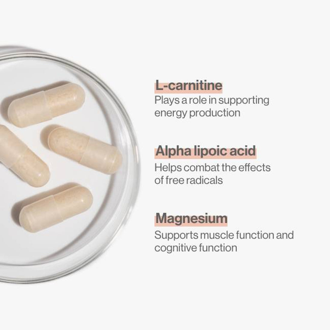 Advanced Nutrition Programme Pro-Energy