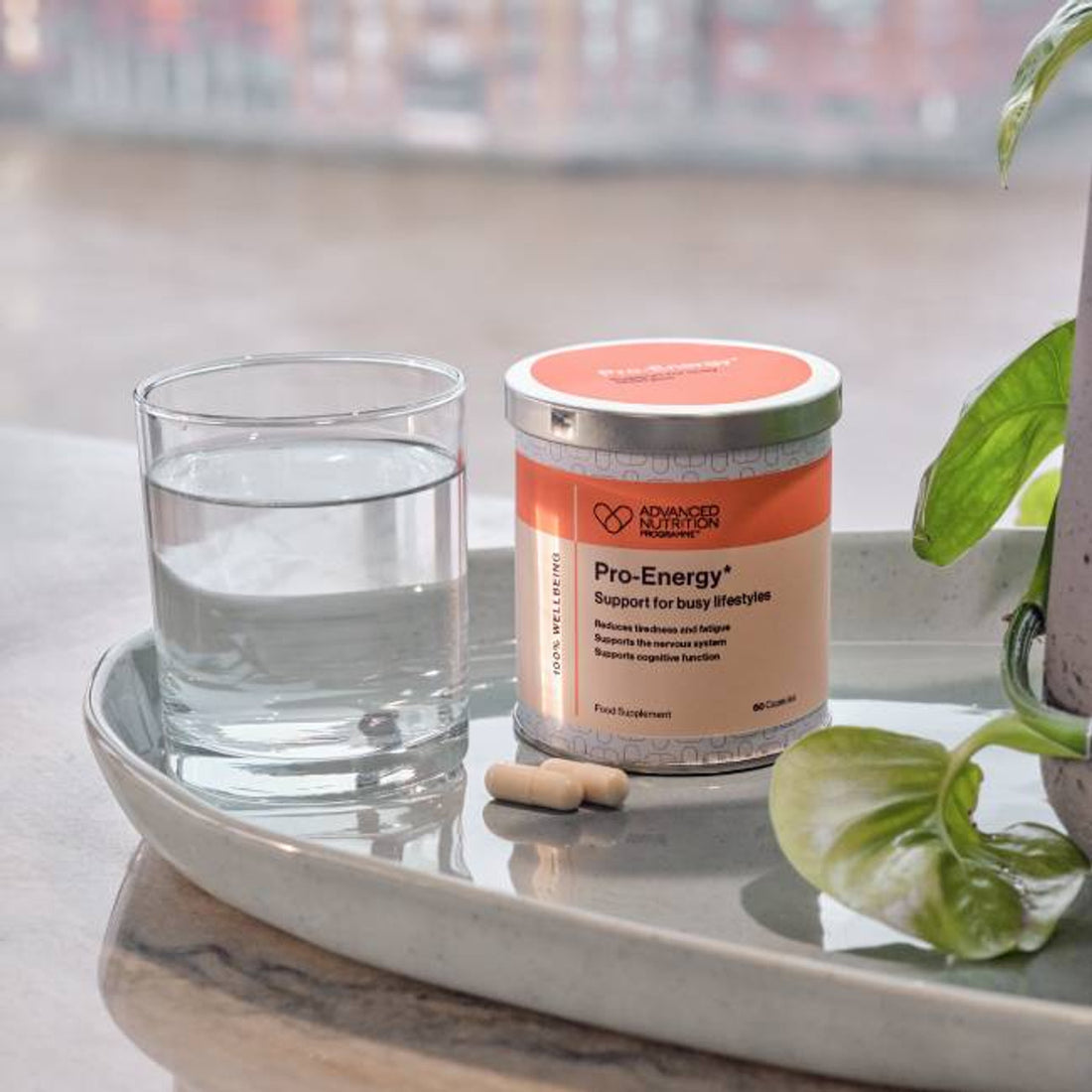 Advanced Nutrition Programme Pro-Energy