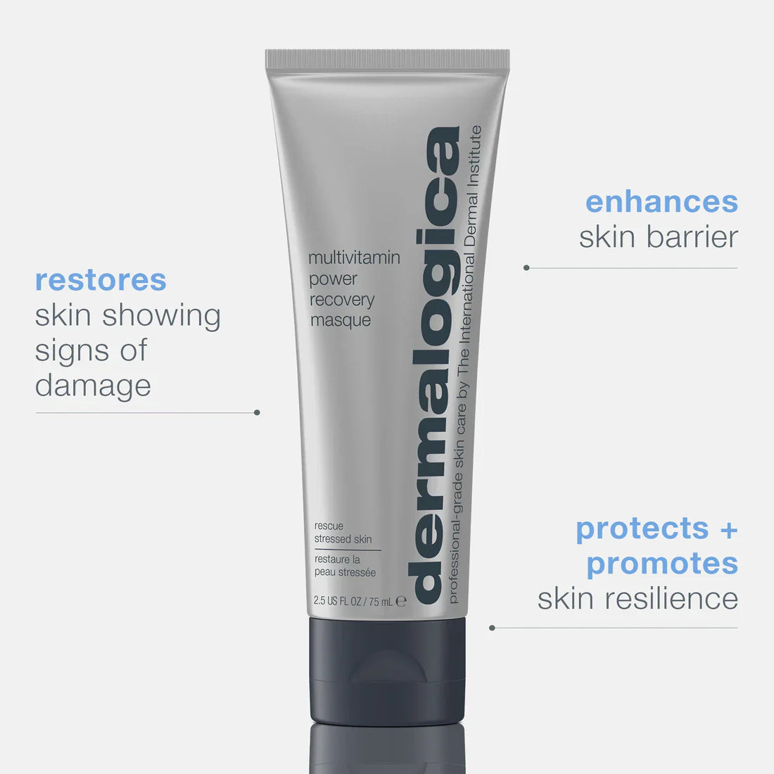 Dermalogica Multivitamin Power Recovery Masque