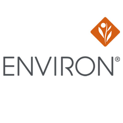 Environ Logo